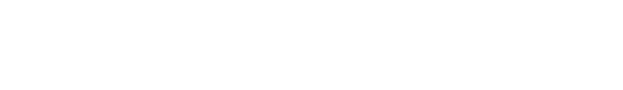 wabinosite logo white